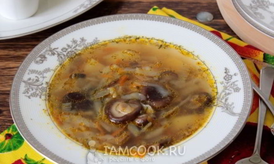 Рецепт супа с грибами в мультиварке