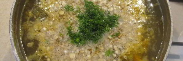 суп с овсяными хлопьями и курицей