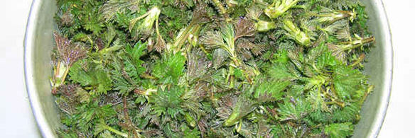 суп весенний с крапивой