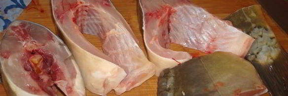 уха из карпа