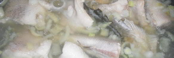 уха из щуки