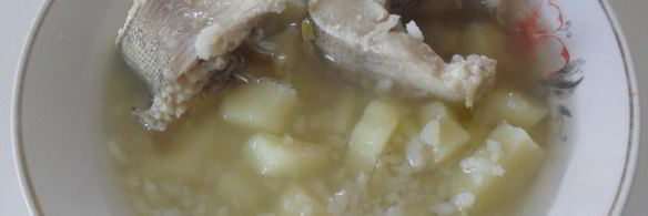 уха из щуки