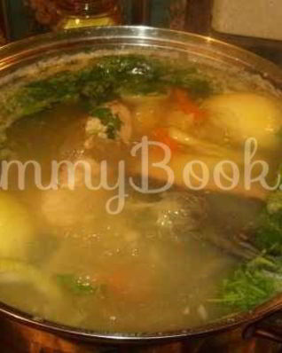 Уха из семги