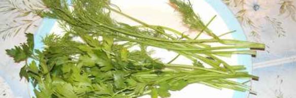 уха из семги