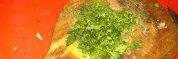 уха из семги