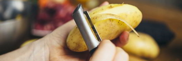 уха из судака