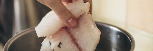 уха из судака