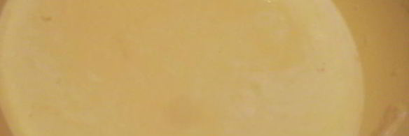 медовые блинчики с творогом