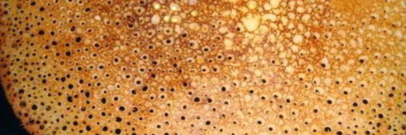 Тонкие блины с дырочками