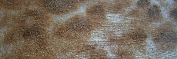 ароматные булочки с корицей