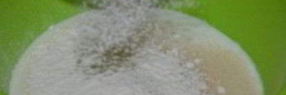 булочки с сухофруктами