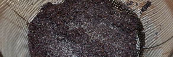 дрожжевые булочки с маком