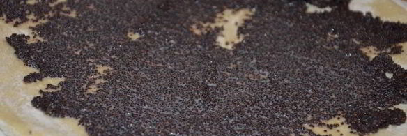 дрожжевые булочки с маком