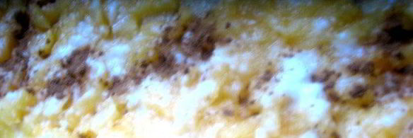 ватрушка на песочном тесте с тыквенной прослоечкой