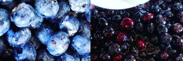 летний чизкейк с рикоттой и голубикой без выпечки