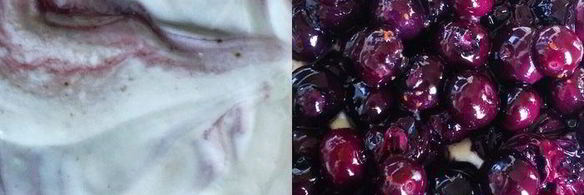 летний чизкейк с рикоттой и голубикой без выпечки