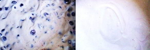 летний чизкейк с рикоттой и голубикой без выпечки