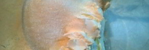 мини-чизкейк