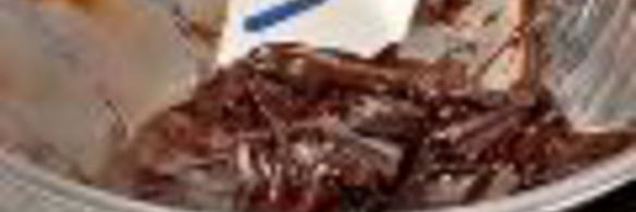 шоколадный чизкейк