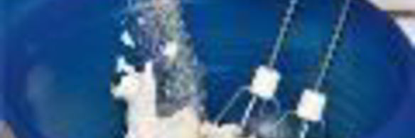 шоколадный чизкейк