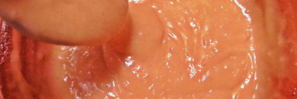 кекс с клюквой и кофе