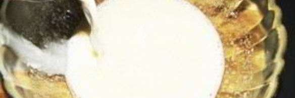 молочный кекс в мультиварке