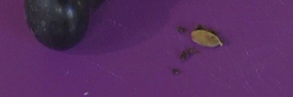 домашний хлеб с отрубями, изюмом и курагой