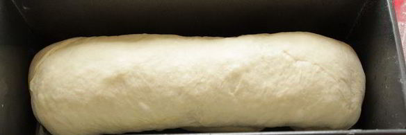 хлеб с горчицей