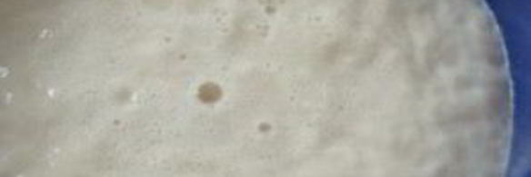 простой белый хлеб