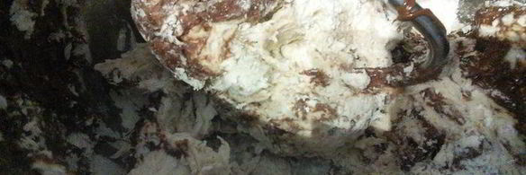 шоколадный хлеб