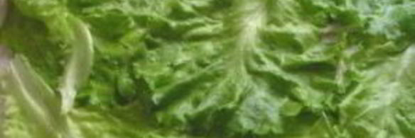 лаваш с курицей