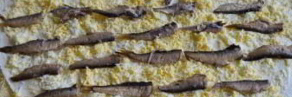 лаваш со шпротами