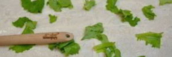 закуска из лаваша с сыром