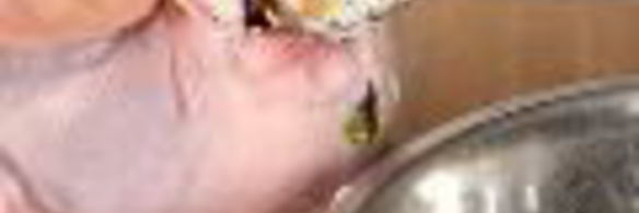 амич с зелеными лепешками