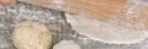 амич с зелеными лепешками