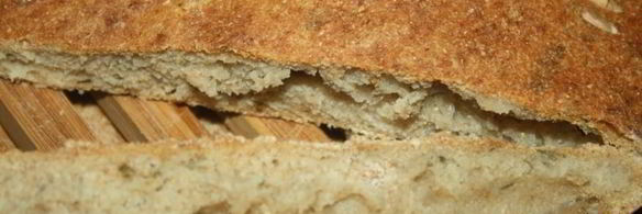 хлебные лепешки в духовке с луком и укропом