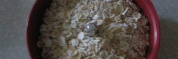 многозерновая лепешка с фруктами я ягодами