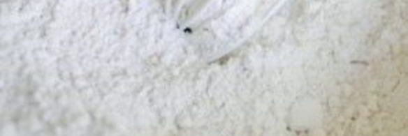 яблочные лепешки