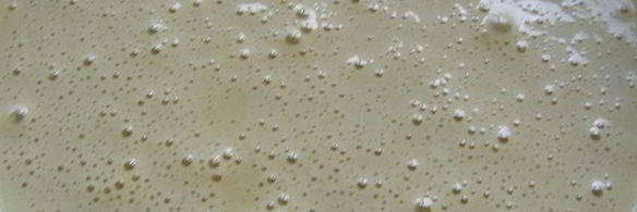 медовые маффины-пряники