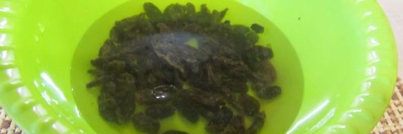 маковая начинка для рулета