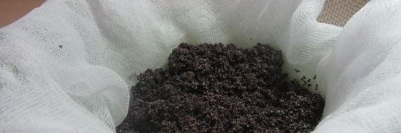 маковая начинка для рулета