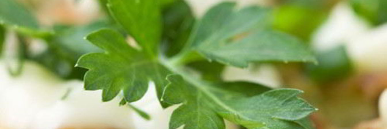 Оладьи из кабачков