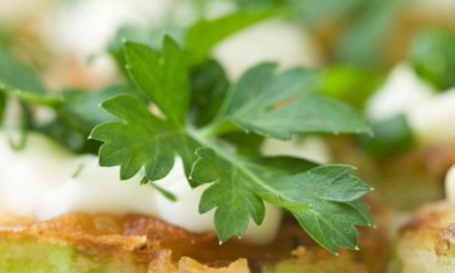 Рецепт оладий из кабачков