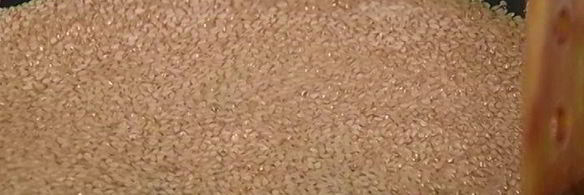 печенье с курагой, кунжутом и фисташками