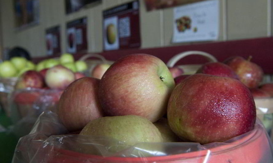 Рецепт печенья с яблоками