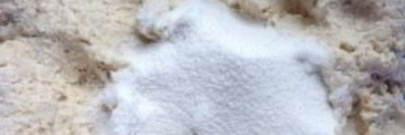 рождественское печенье снежки