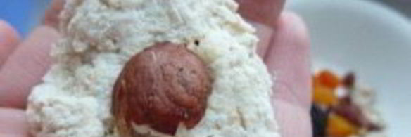 рождественское печенье снежки