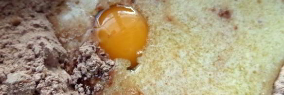 шоколадное печенье пикантное