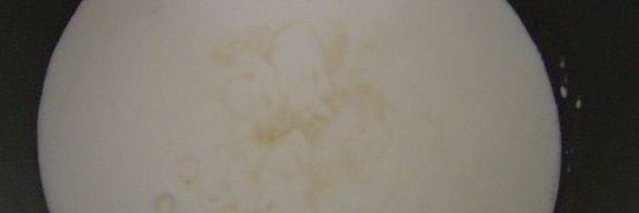 лимонный пирог с заварным кремом