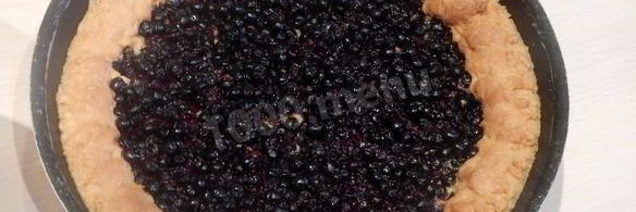 пирог с брусникой и сметаной открытый